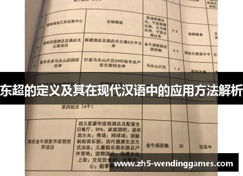 东超的定义及其在现代汉语中的应用方法解析